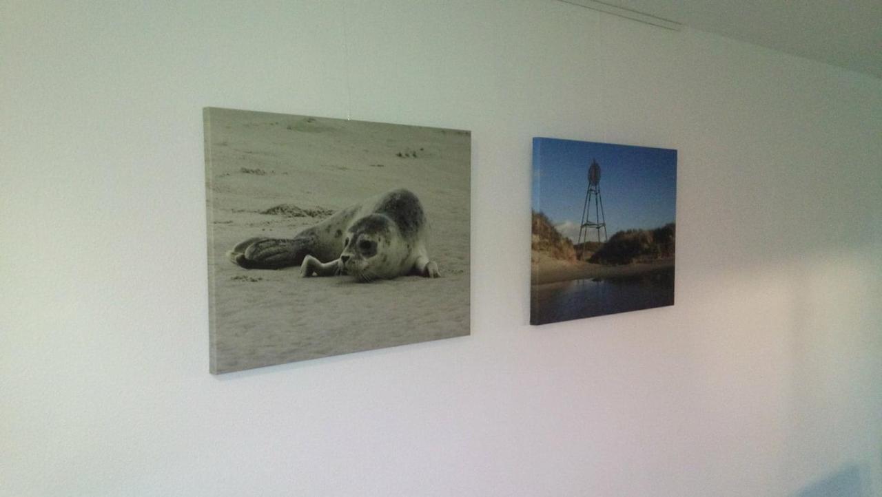 Apartmán Uut In Thuus 21A Buren  Exteriér fotografie